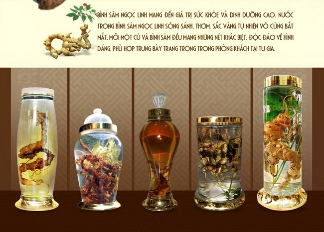 [Image: binh-ruou-sam-giup-chua-benh-va-trang-tri-tai-nha.jpg]