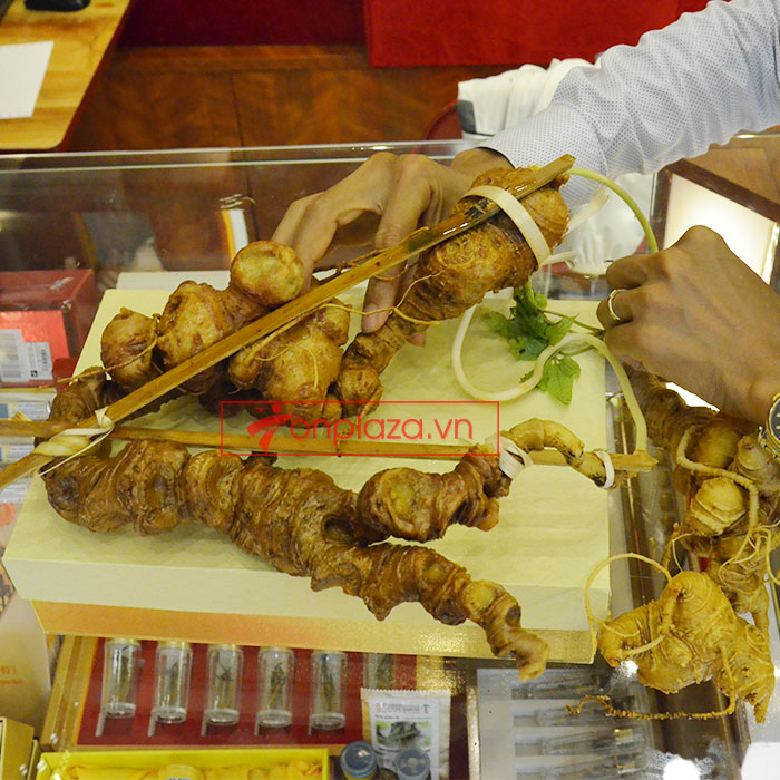 [Image: sam-ngoc-linh-mon-qua-tu-nhien-viet-nam.jpg]