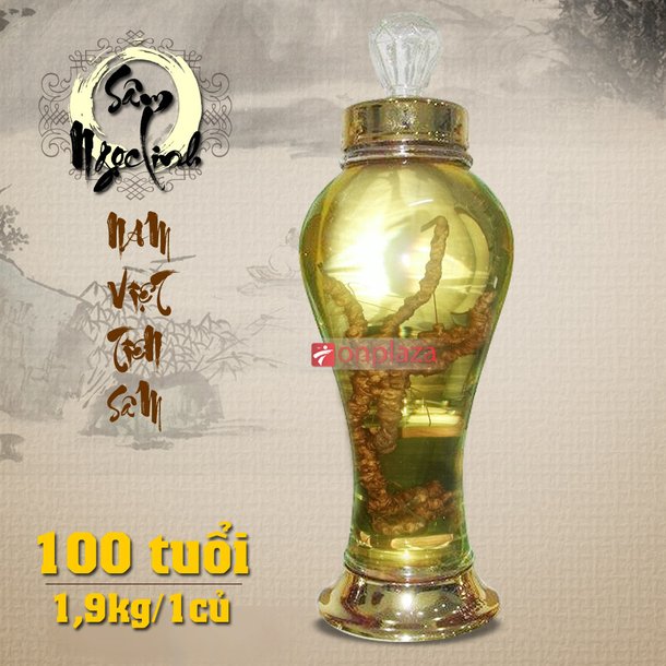 Bình sâm 100 năm tuổi (loại 2,1 kg/1 củ sâm)