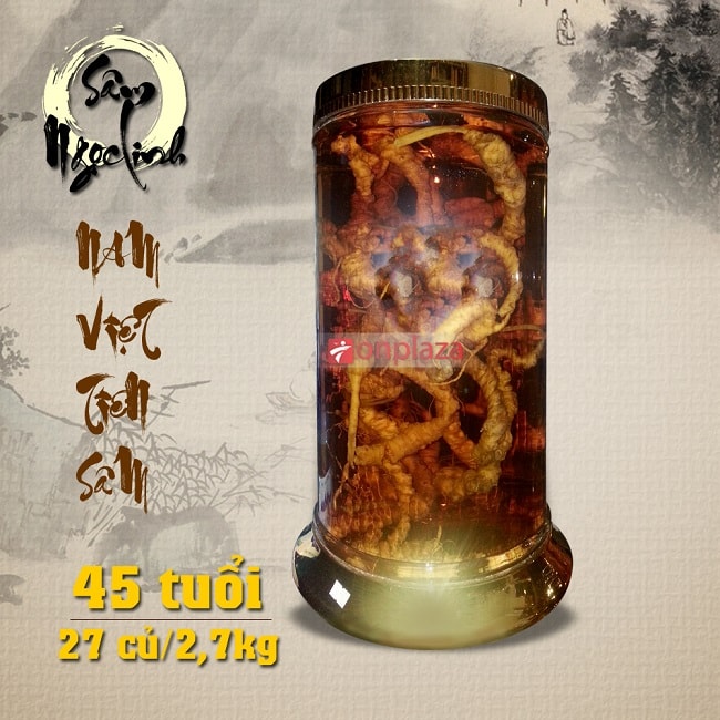 Bình sâm ngọc linh 2,7kg 27 củ sâm giá 170 triệu