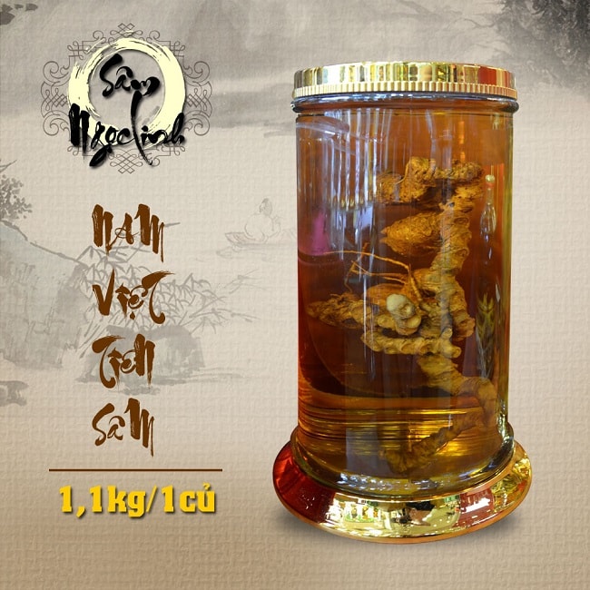 Bình Sâm Ngọc Linh 28L