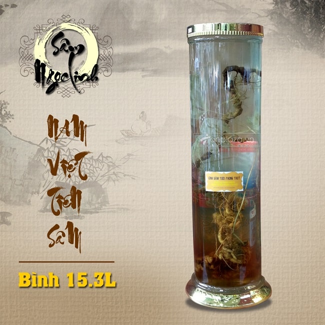 Bình sâm ngọc linh KG18 15.3L