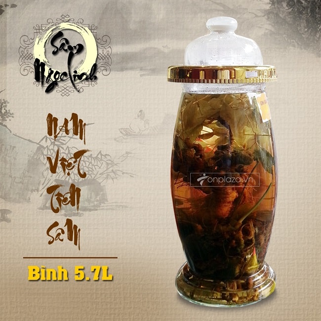 Bình Sâm Ngọc Linh KG13