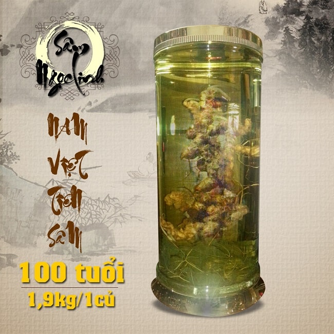 Bình sâm ngọc linh 100 năm tuổi (loại 1,9kg/1 củ)
