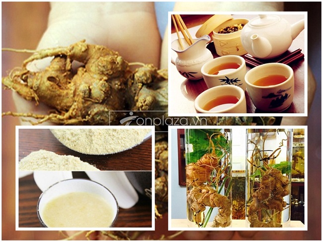 [Image: mot-so-cach-dung-khac-cua-sam-ngoc-linh.jpg]