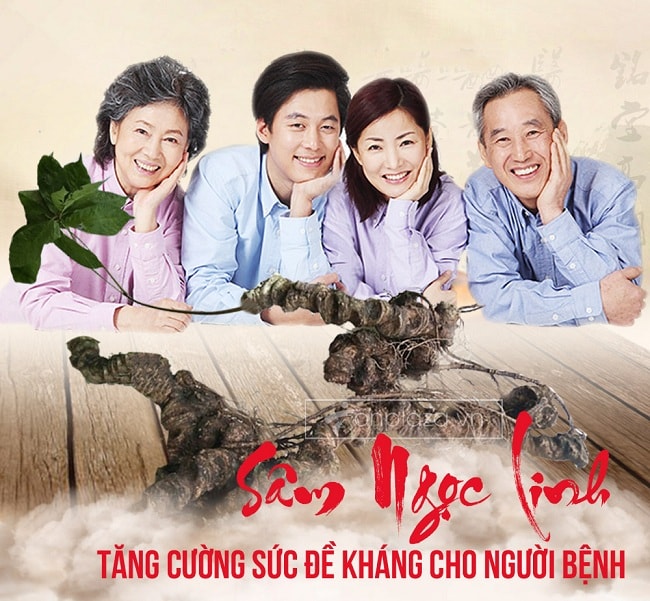 Sâm Ngọc Linh tự nhiên giúp tăng sức đề kháng cho cả gia đình