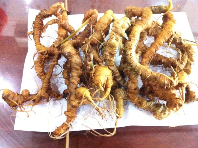 [Image: than-duoc-sam-ngoc-linh-dung-truoc-nguy-...-chung.jpg]