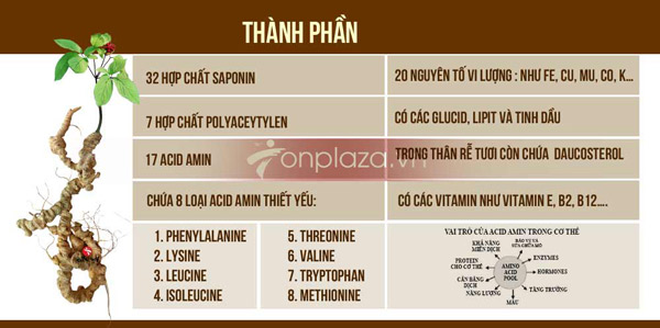 Bảng thành phần so sánh của sâm Ngọc Linh với sâm khác