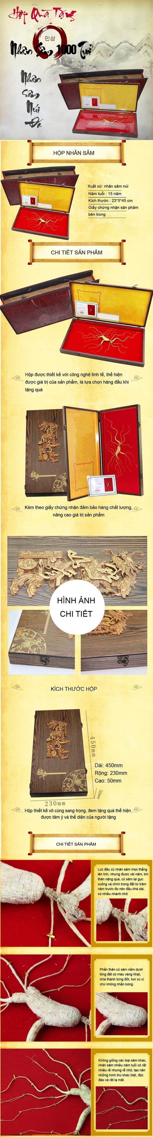 Hộp quà tặng nhân sâm núi ngàn năm tuổi 1