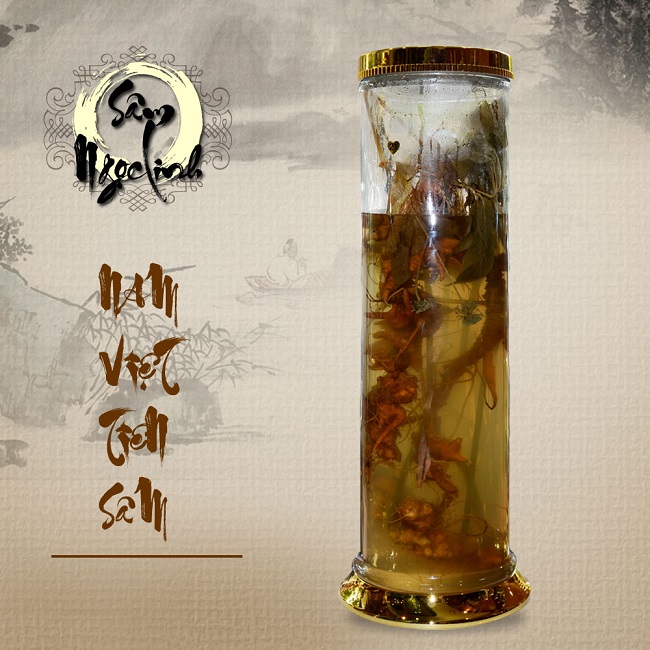 Bình rượu Sâm Ngọc Linh 16L