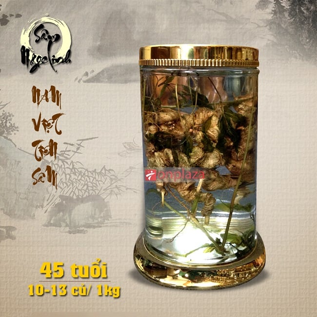 Bình sâm Ngọc Linh 45 năm tuổi loại 1kg 10 – 13 củ