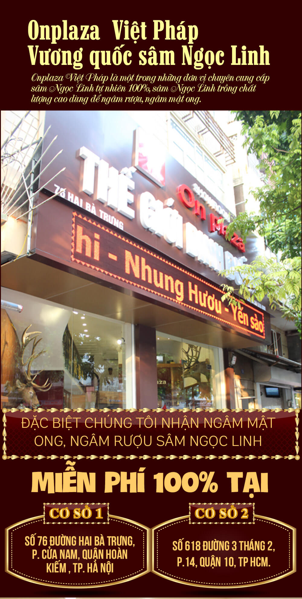 Địa chỉ hỗ trợ ngâm sâm ngọc linh miễn phí
