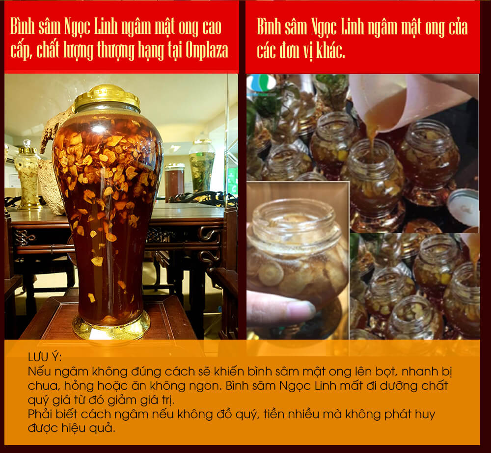 So sánh bình sâm ngọc linh tại GINSENG ONPLAZA và các đơn vị khác ngoài thị trường